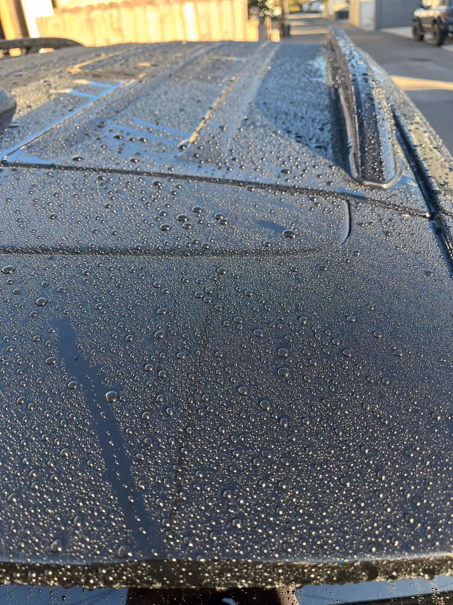 Close-up of water droplets on the surface of a dark car roof in sunlight.